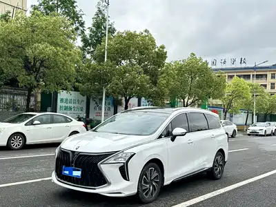 Dongfeng Fengxing Yacht 2023