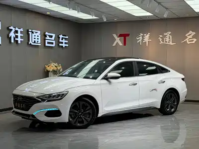 Hyundai Fista 2019