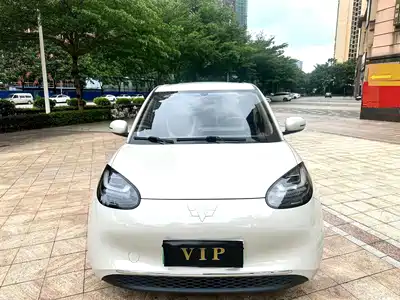 Wuling Motors Bingo 2024
