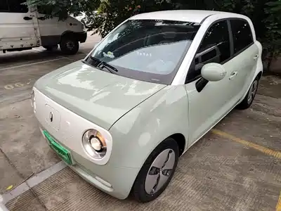 Ora Black Cat 2022