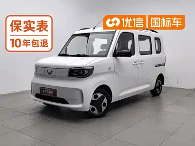 Wuling Motors Zhiguang NEV 2025