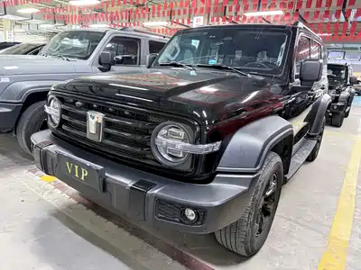 Tank 300 2024