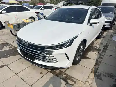 BYD Destroyer 05 2024