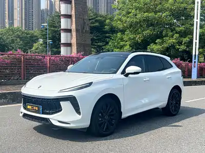 Dongfeng Fengxing T5 EVO 2020