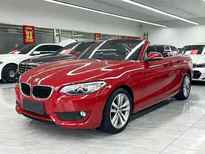 BMW 2 Series (Import) 2017