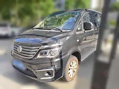 Dongfeng Fengxing Lingzhi 2019