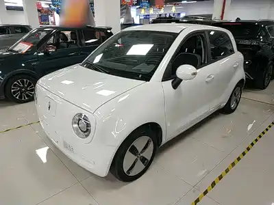 Ora Black Cat 2022