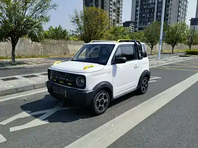 Geely Galaxy Panda 2025