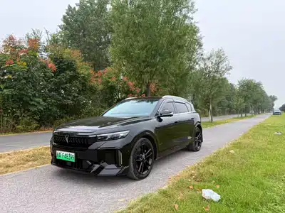 Voyah Auto FREE 2024