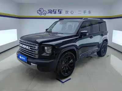 Haval Meng Long NEV 2024