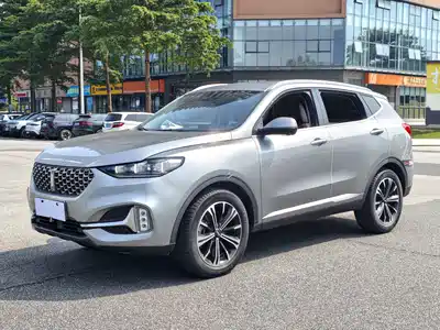 WEY VV6 2021