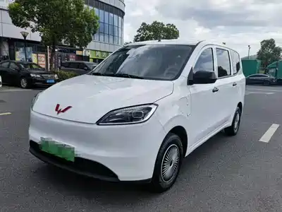 Wuling Motors Hongguang New Energy 2024