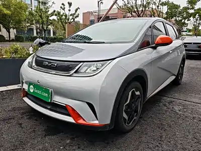 BYD Dolphin 2021