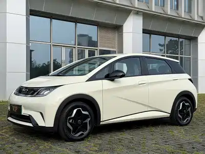 BYD Dolphin 2024