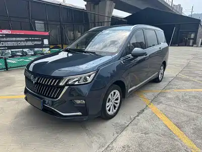 Wuling Motors Jiachen 2024