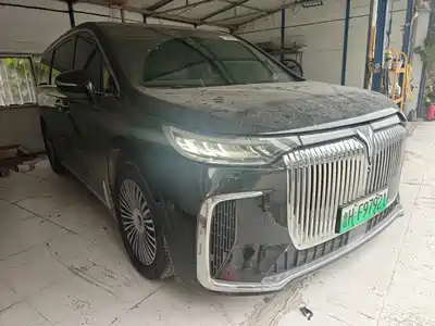 Voyah Auto Dreamer 2025