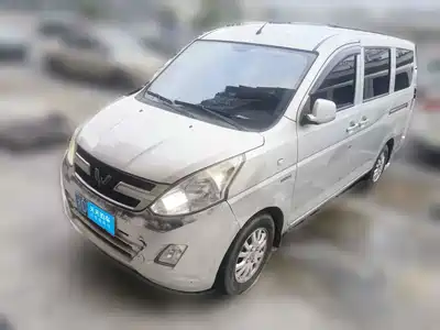Wuling Motors Rongguang V 2017