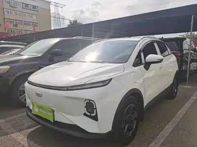 Geely Geometry E Firefly 2024