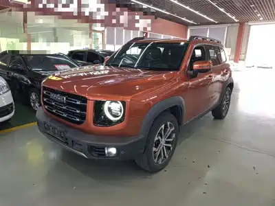 Haval Big Dog 2021