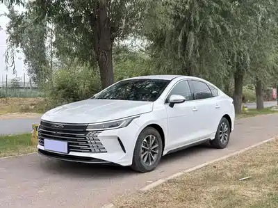 BYD Destroyer 05 2024