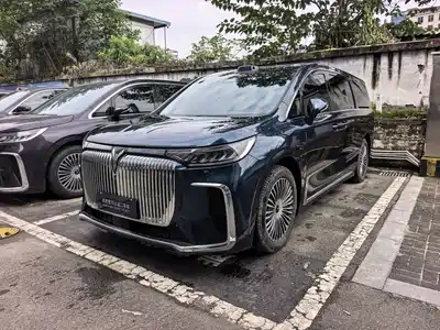 Voyah Auto Dreamer 2025