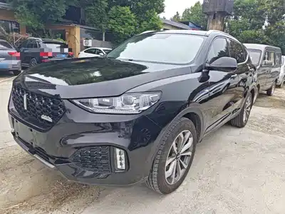 WEY VV6 2019