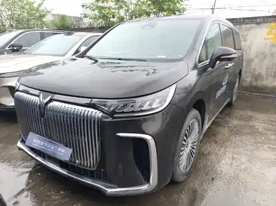 Voyah Auto Dreamer 2024