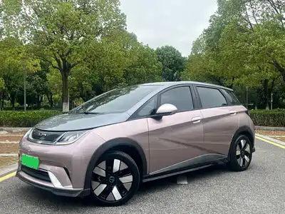 BYD Dolphin 2022