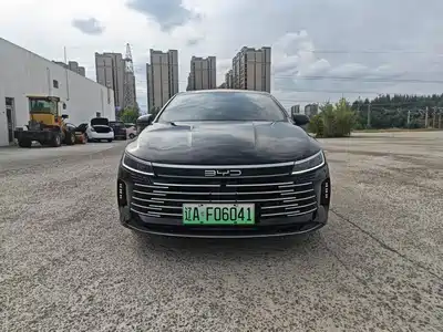 BYD Destroyer 05 2024