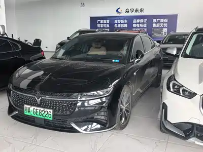 Voyah Auto Zhuiguang 2024