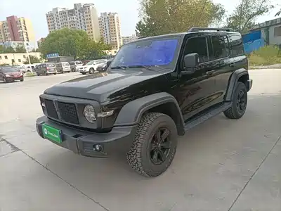 Tank 300 2024