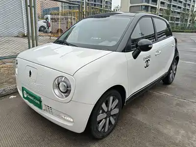 Ora Black Cat 2021
