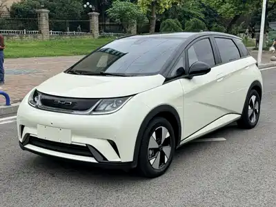 BYD Dolphin 2023