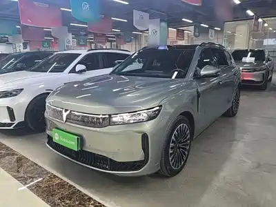 Voyah Auto FREE 2025