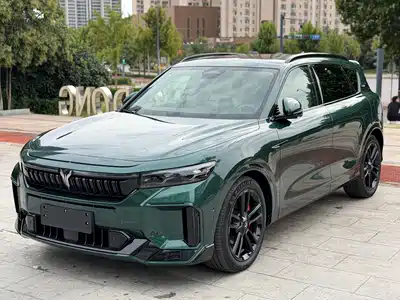 Voyah Auto FREE 2025