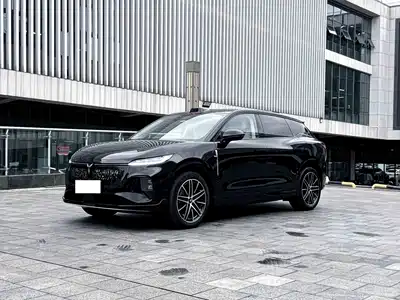 Voyah Auto Zhiyin 2025