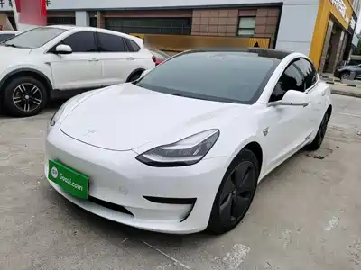 Tesla Model 3 2020