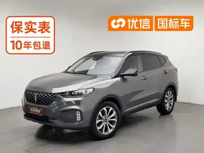 WEY VV6 2020