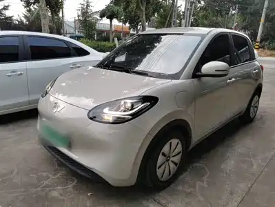 Wuling Motors Bingo 2024