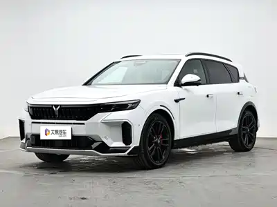 Voyah Auto FREE 2025