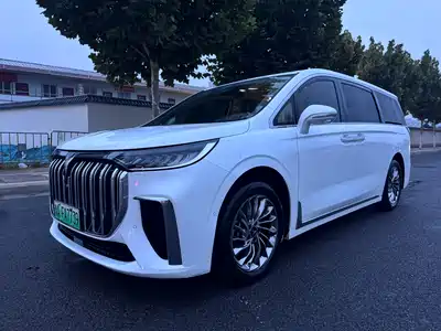 Voyah Auto Dreamer 2024