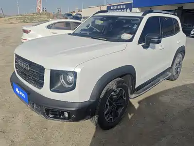 Haval Big Dog 2021