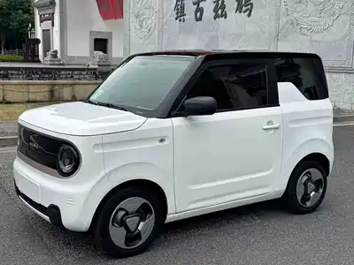 Geely Galaxy Panda 2023