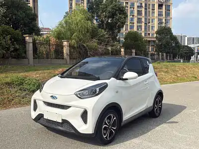 QQ New Energy Little Ant 2021