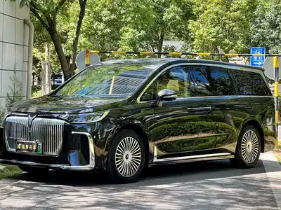 Voyah Auto Dreamer 2025