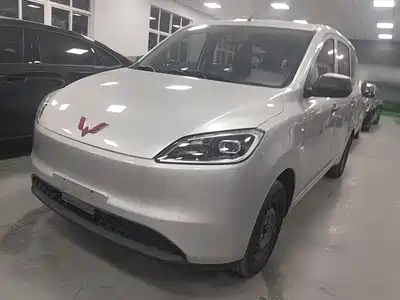 Wuling Motors Hongguang New Energy 2024