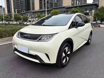 BYD Dolphin 2024