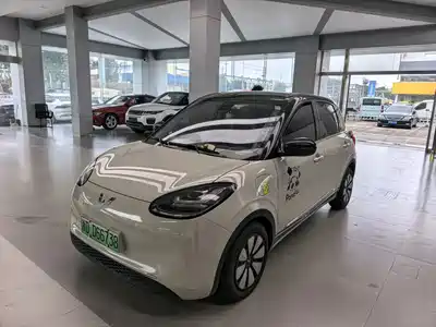 Wuling Motors Bingo 2024