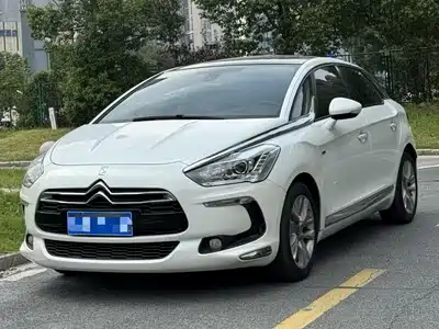 DS 5 2014