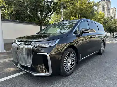 Voyah Auto Dreamer 2024